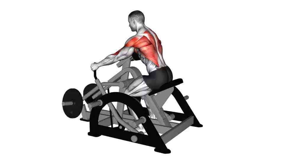 Thumbnail for the video of exercise: Lever Seated Row