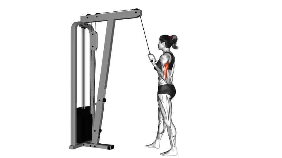 Band Overhead Single Arm Triceps Extension - Video Guide
