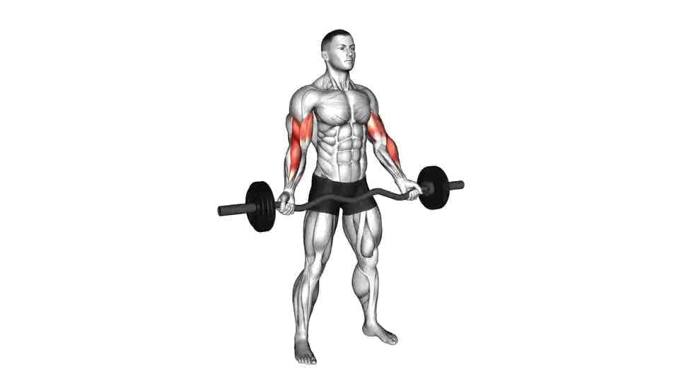 Thumbnail for the video of exercise: EZ-Barbell Standing Wide Grip Biceps Curl