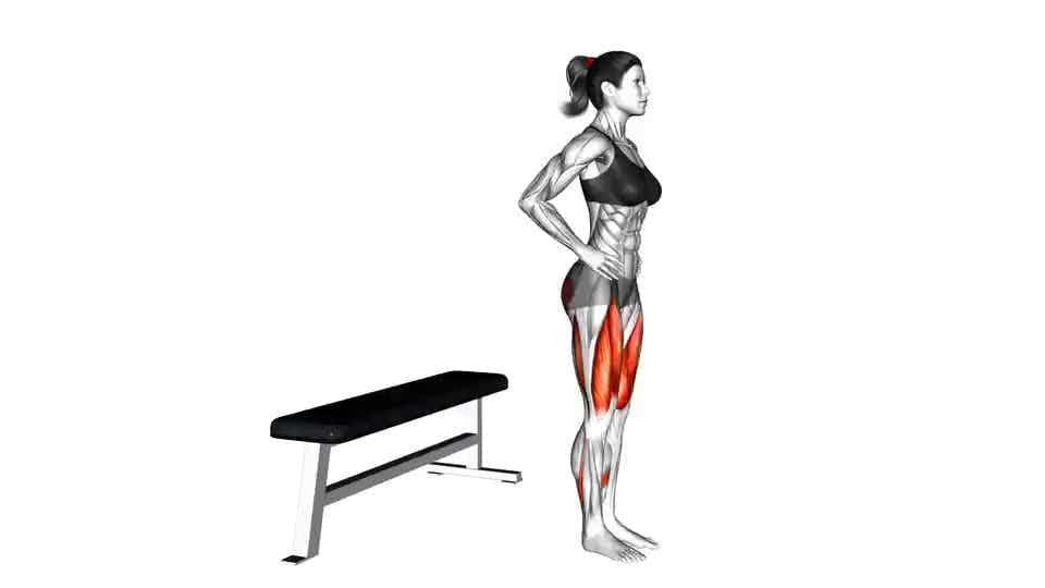 Thumbnail for the video of exercise: Split Squat