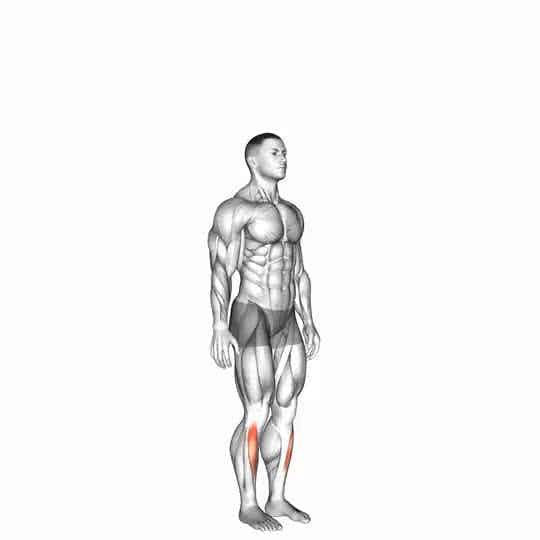 Thumbnail for the video of exercise: Ankle - Dorsal Flexion - Articulations