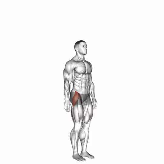 Thumbnail for the video of exercise: Hip - Abduction - Articulations