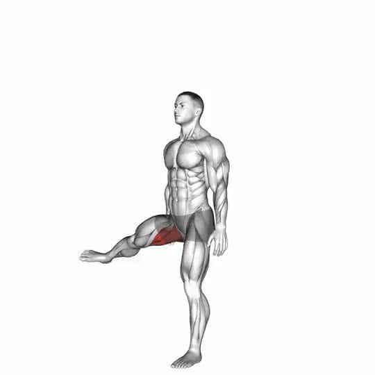 Thumbnail for the video of exercise: Hip - Adduction - Articulations