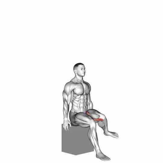 Thumbnail for the video of exercise: Hip - Lateral Rotation