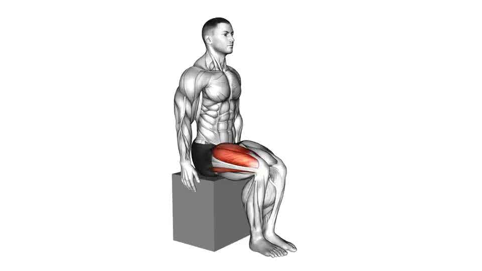 Thumbnail for the video of exercise: Knee - Extension - Articulations