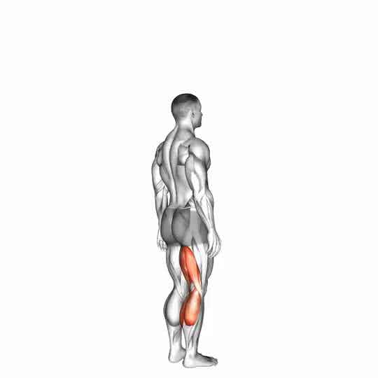 Thumbnail for the video of exercise: Knee - Flexion - Articulations