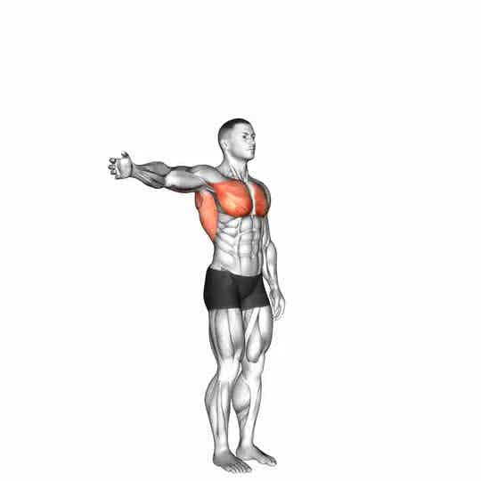 Thumbnail for the video of exercise: Shoulder - Adduction - Articulations