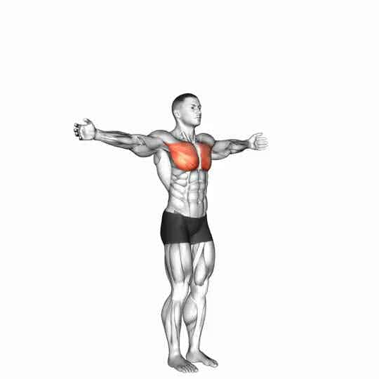 Thumbnail for the video of exercise: Shoulder - Transverse Adduction - Articulations