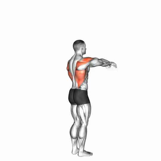 Thumbnail for the video of exercise: Shoulder - Transverse Extension - Articulations