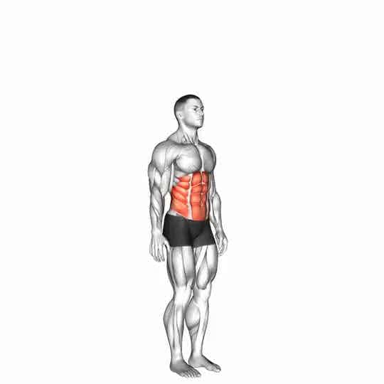 Thumbnail for the video of exercise: Columna vertebral