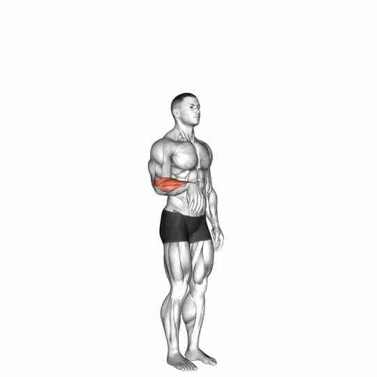 Thumbnail for the video of exercise: Wrist - Extension - Articulations