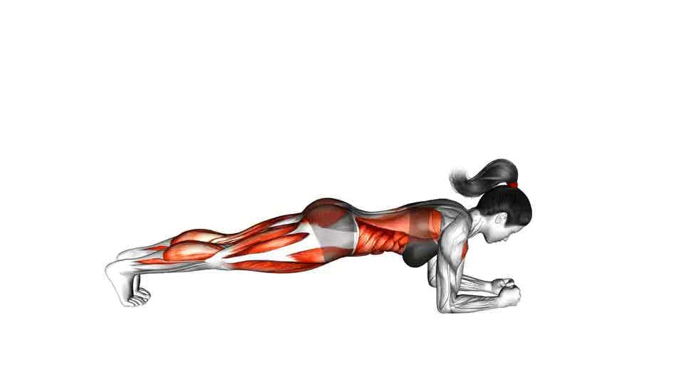 Thumbnail for the video of exercise: Front Plank with Arm and Leg Lift