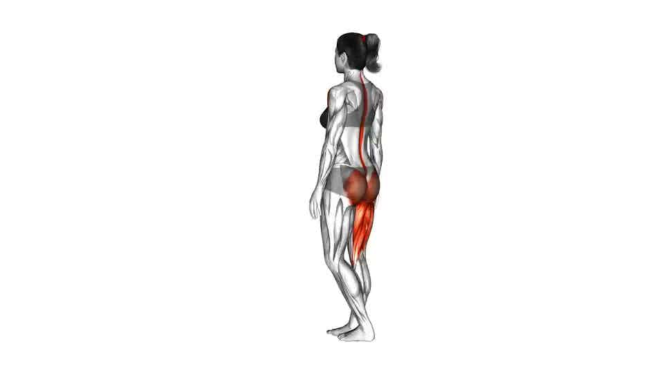 Thumbnail for the video of exercise: Single Leg Bodyweight Deadlift with Arm and Leg Extended