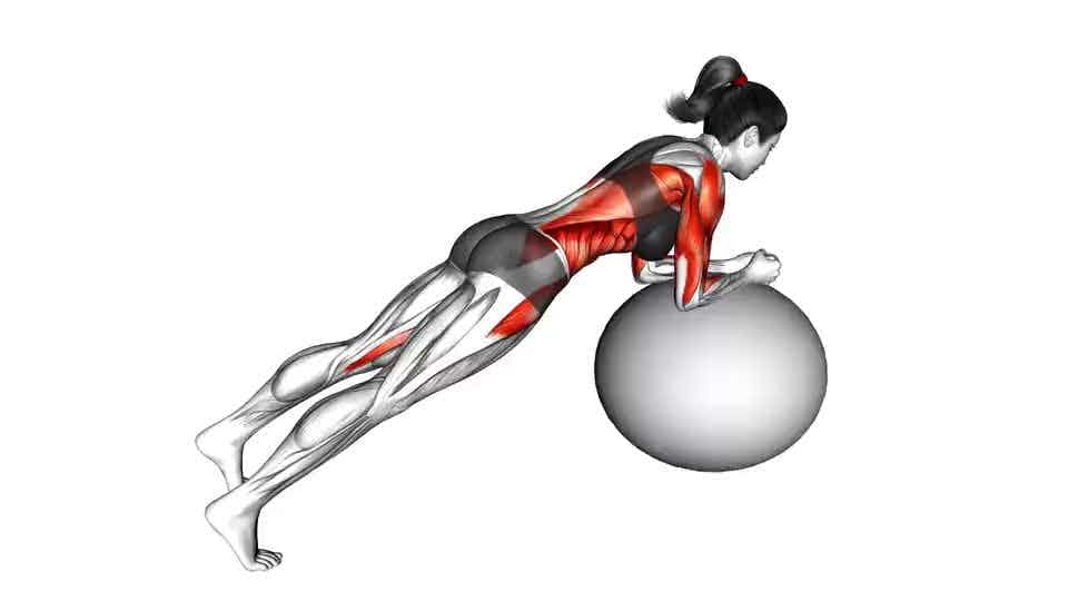 Ab Roller, Exercise Videos & Guides