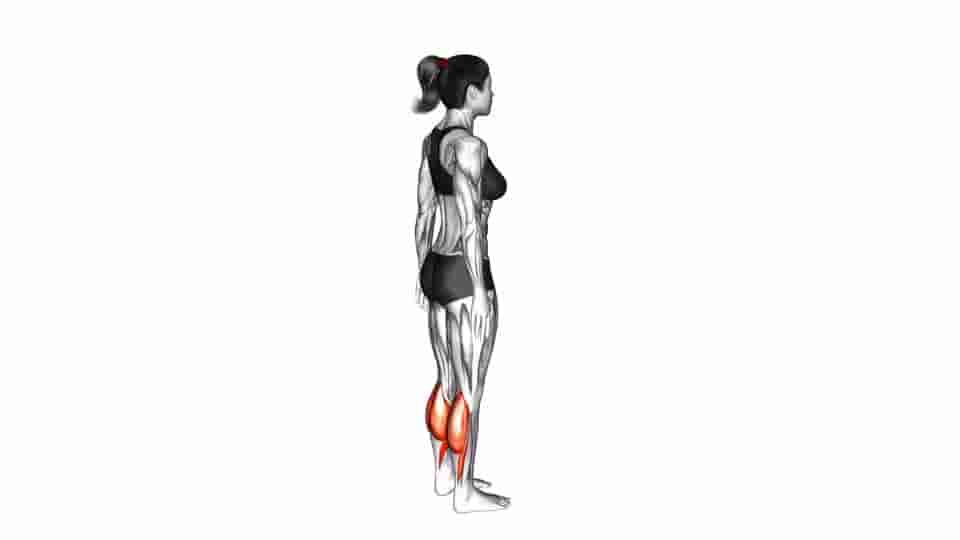 Thumbnail for the video of exercise: Standing Calf Raise