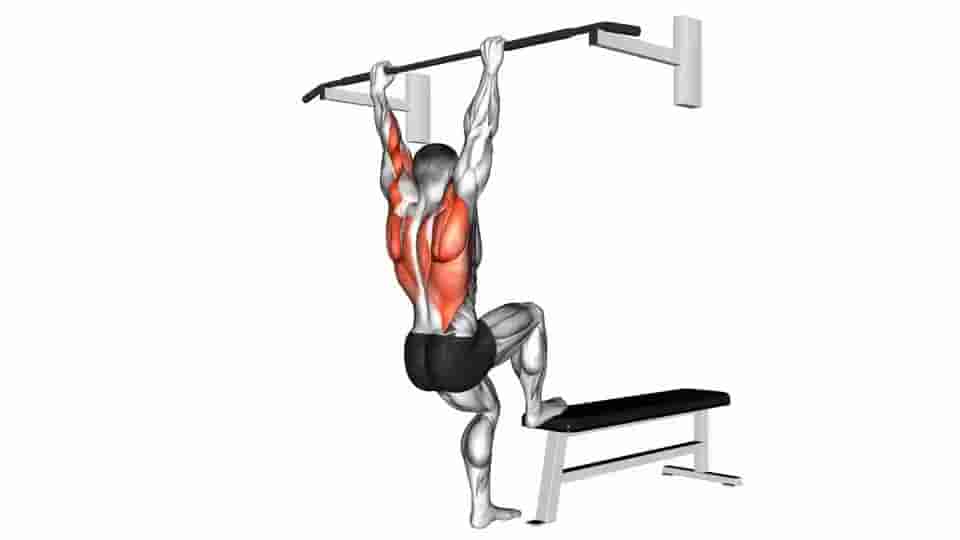 Bench Pull-ups - Video Guide | Lyfta