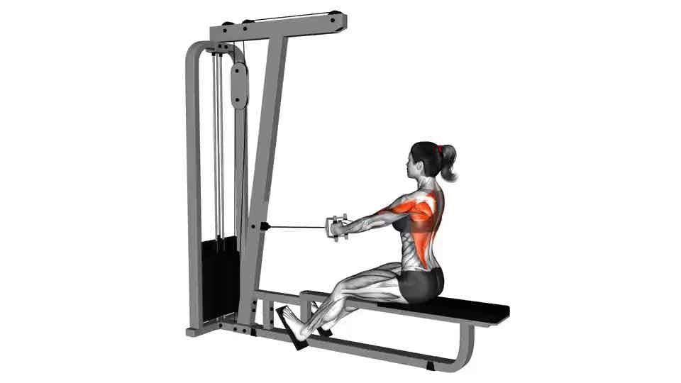 Thumbnail for the video of exercise: Cable Straight Back Seated Row