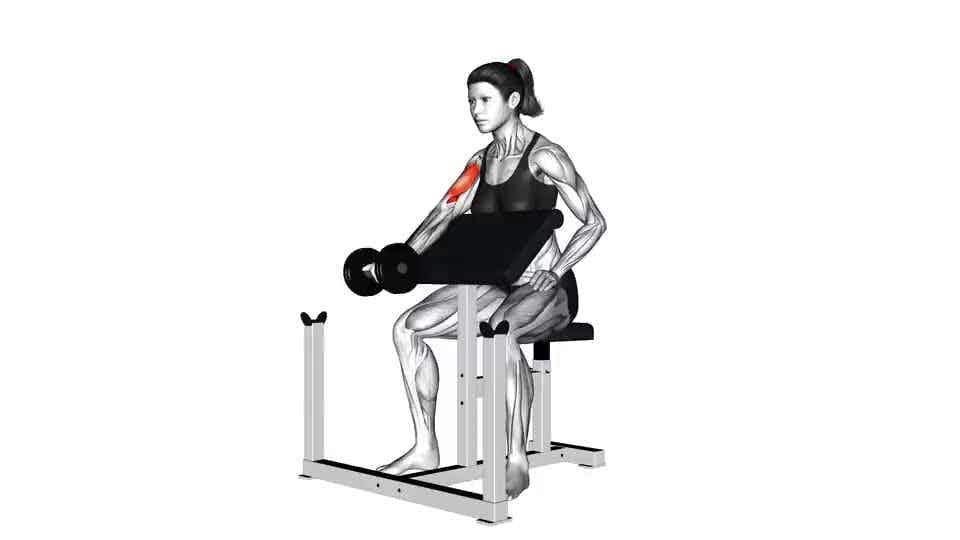 Thumbnail for the video of exercise: Dumbbell Single Arm Preacher Curl