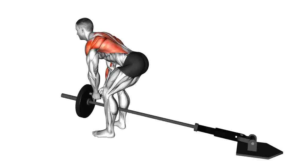 Thumbnail for the video of exercise: Lever Bent-over Row with V-bar