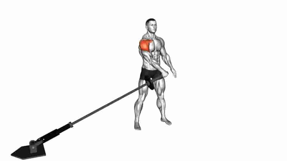 Thumbnail for the video of exercise: Landmine Lateral Raise