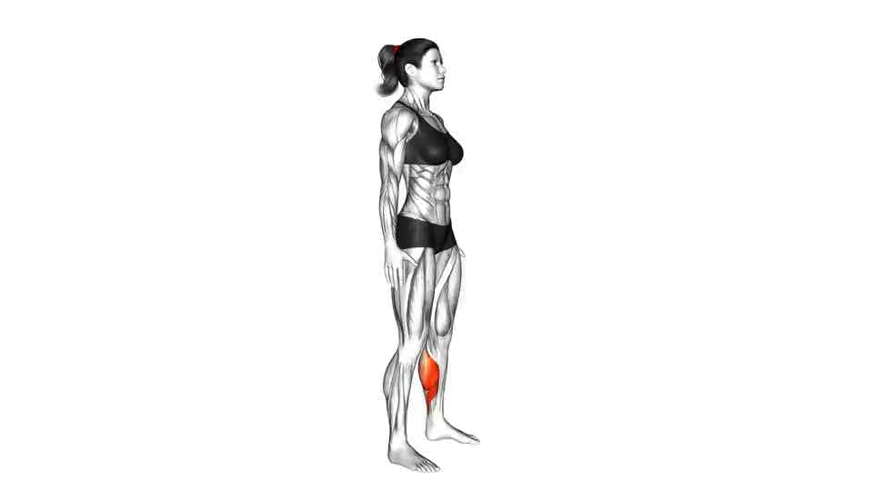 Thumbnail for the video of exercise: Feet and Ankles Side to Side Stretch