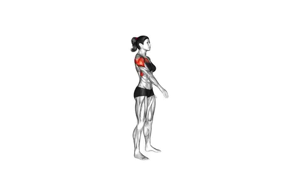 Thumbnail for the video of exercise: Standing One Arm Circling