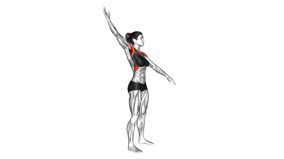 Thumbnail for the video of exercise: Standing Alternate Arms Circling