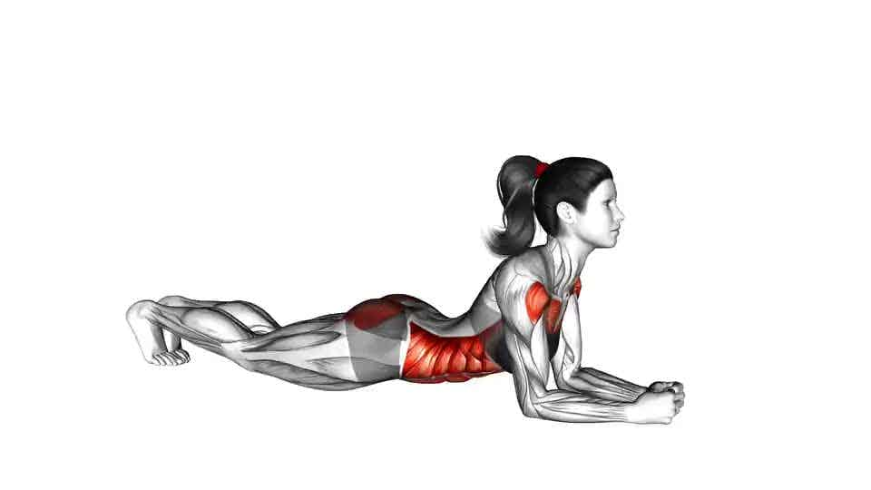 Thumbnail for the video of exercise: Elbow Push up