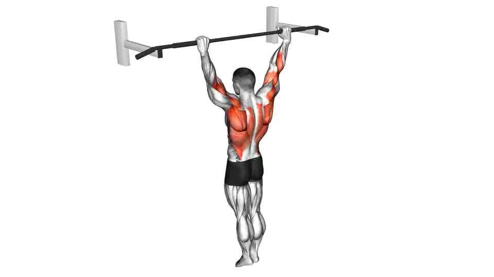 Thumbnail for the video of exercise: Archer Pull up