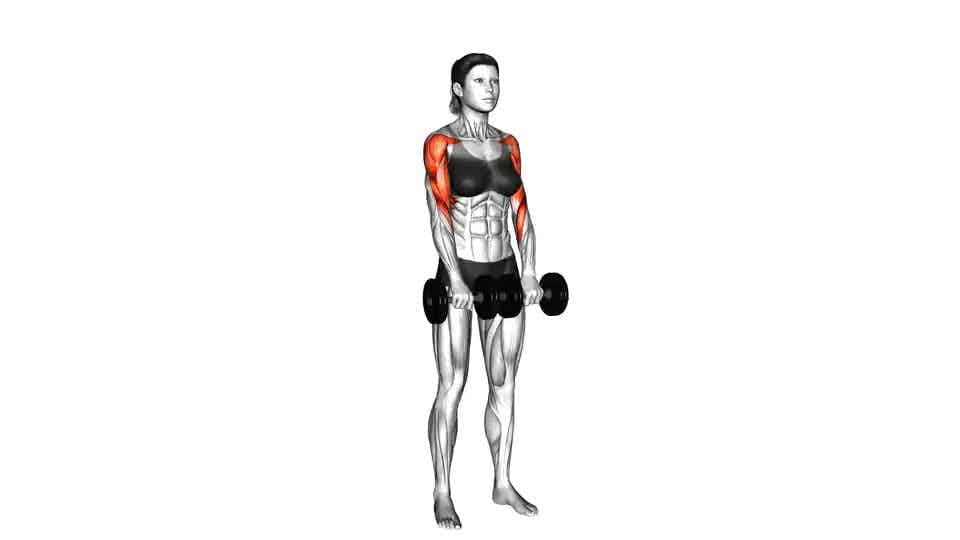 Thumbnail for the video of exercise: Dumbbell თავდაყირა რიგი