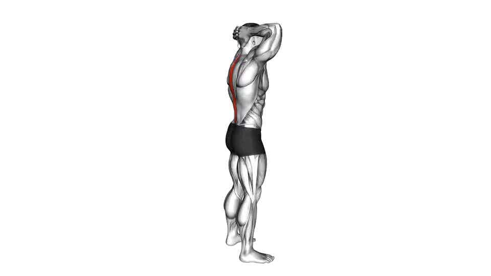 Thumbnail for the video of exercise: Estiramiento de la flexión de la columna vertebral