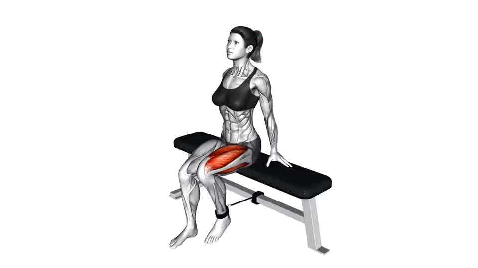 Thumbnail for the video of exercise: Band Seated Makolo Extension