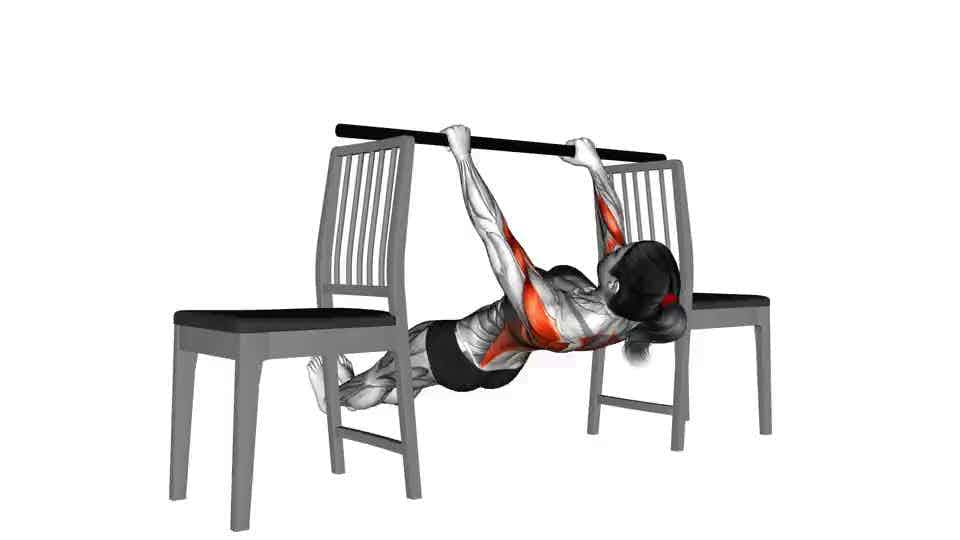 Thumbnail for the video of exercise: Inverted Row between Chairs