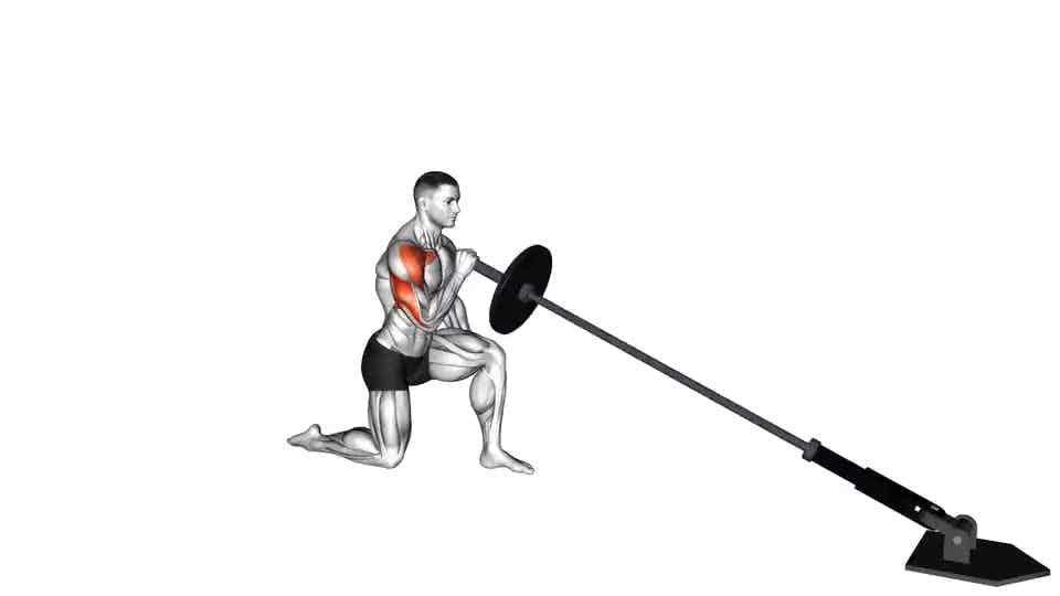 Thumbnail for the video of exercise: Landmine Kneeling One Arm Shoulder Press