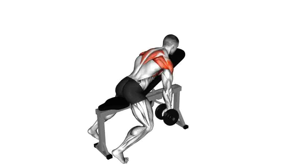 Thumbnail for the video of exercise: Dumbbell Incline Y-Raise