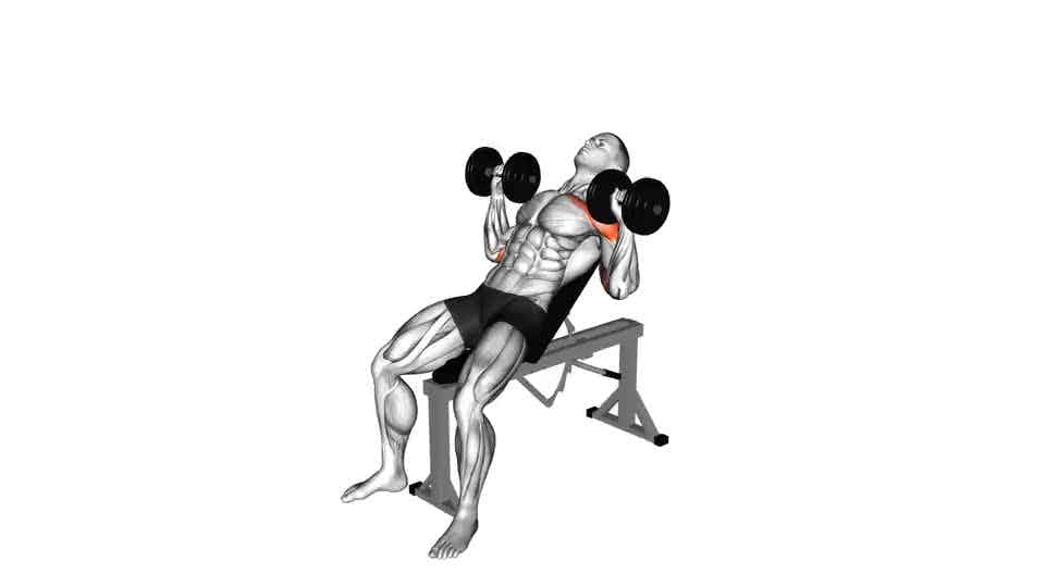 Thumbnail for the video of exercise: Dumbbell Inclination Alternate Press