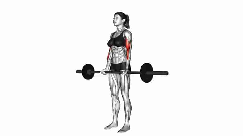 Thumbnail for the video of exercise: Barbell Curl