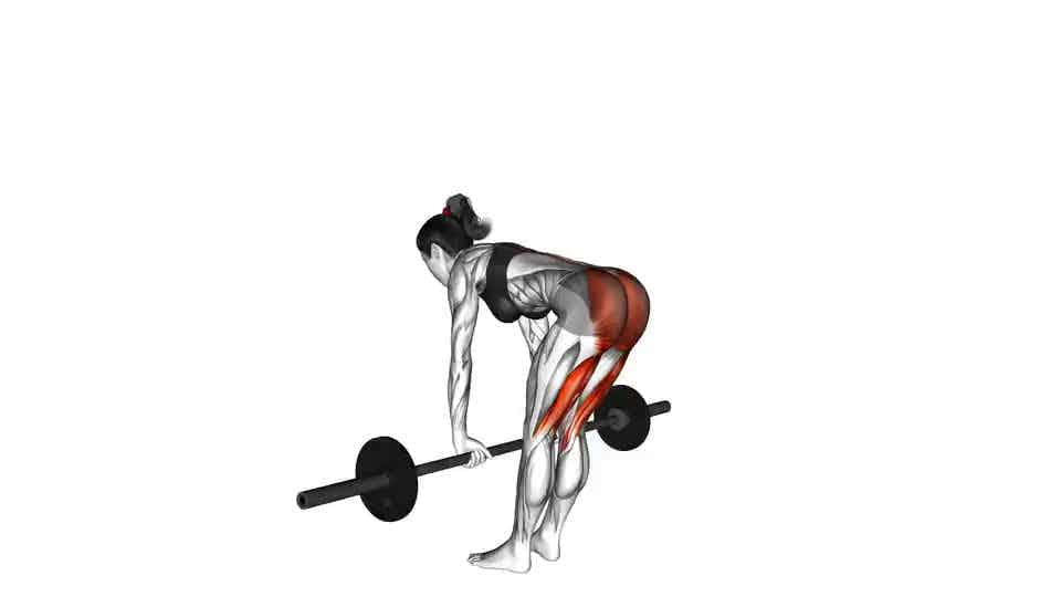 Thumbnail for the video of exercise: Barbell Straight Leg Deadlift