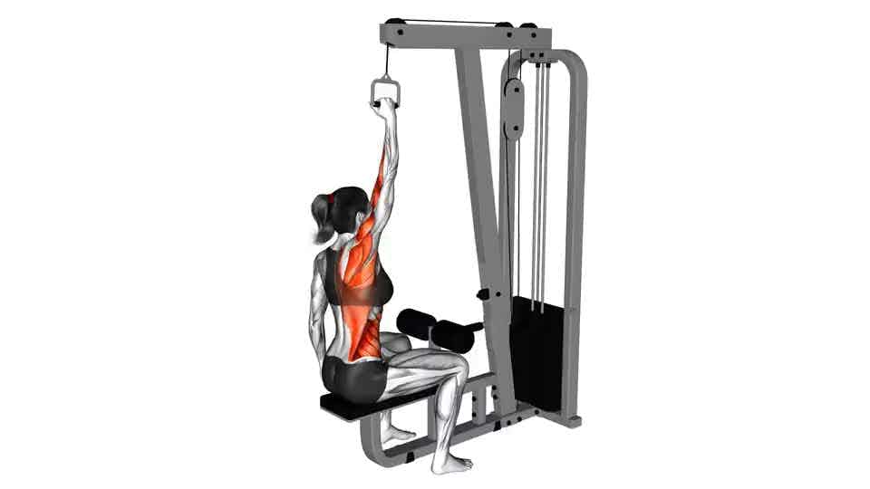 Lat pull-down, Exercise Videos & Guides