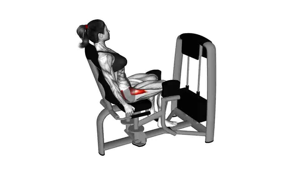Thumbnail for the video of exercise: Lever Seated Hip Abduction