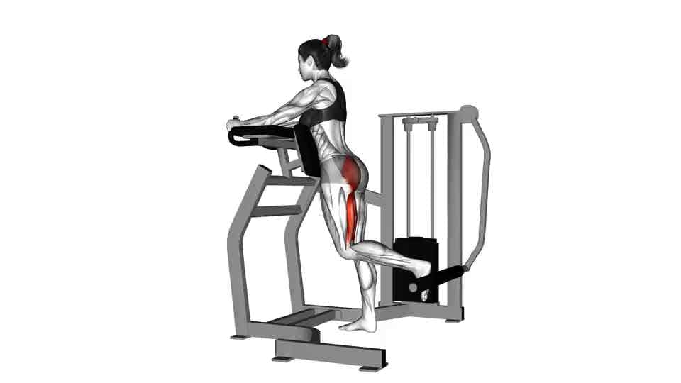 Thumbnail for the video of exercise: Lever Standing Hip Extension