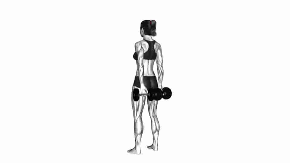 Thumbnail for the video of exercise: Dumbbell Behind Back Finger Curl