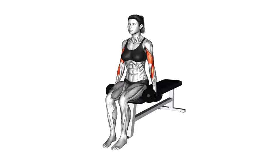 Thumbnail for the video of exercise: Dumbbell Seated Alternate Biceps Curl