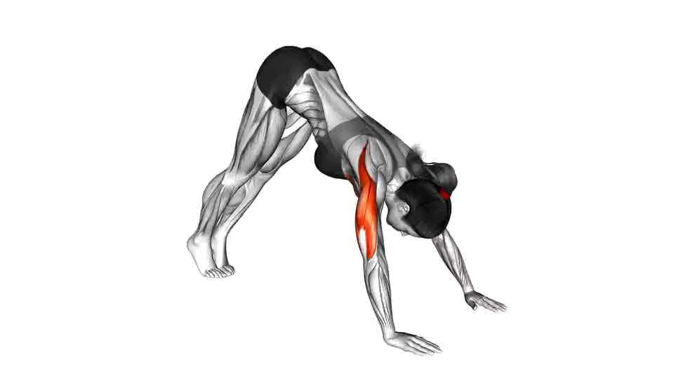 Thumbnail for the video of exercise: Pike Push-up