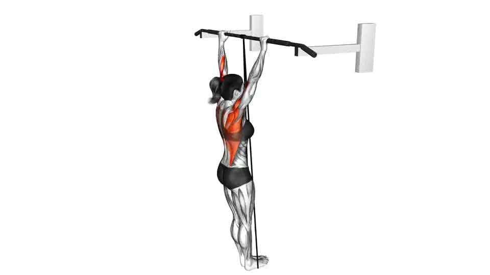 Thumbnail for the video of exercise: Band Assisted Pull Up