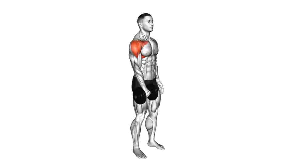 Thumbnail for the video of exercise: Dumbbell One Arm Front Raise