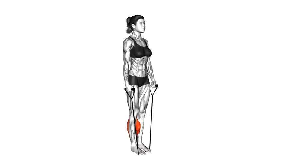 Thumbnail for the video of exercise: Band Two Legs Calf Raise -