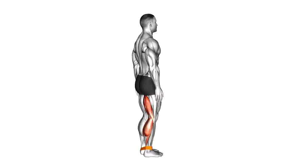 Thumbnail for the video of exercise: Resistance Band Leg Curl