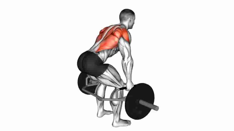 Thumbnail for the video of exercise: Trap Bar Bent Over Row