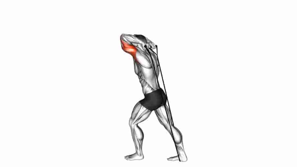 Thumbnail for the video of exercise: Band Overhead Triceps Extension